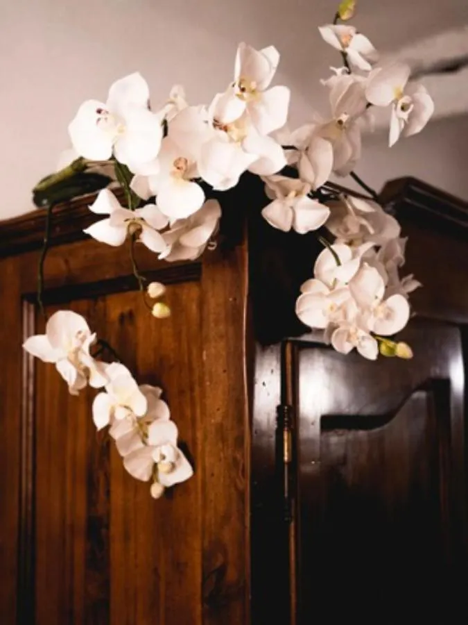 Affittacamere Cinzia Lerici Guest house